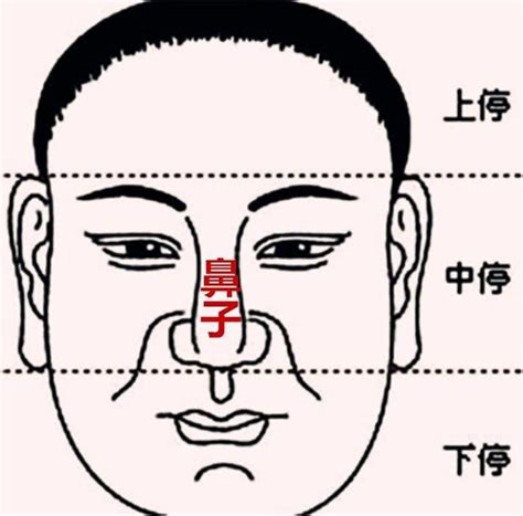 面相 鼻|「面相」鼻為面王，鼻子看你性格和財運！